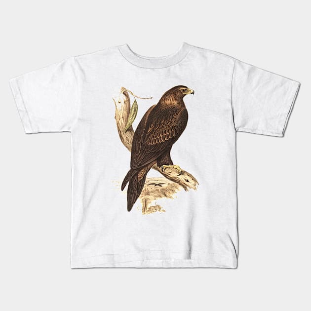 Wedged tailed eagle Kids T-Shirt by pickledpossums